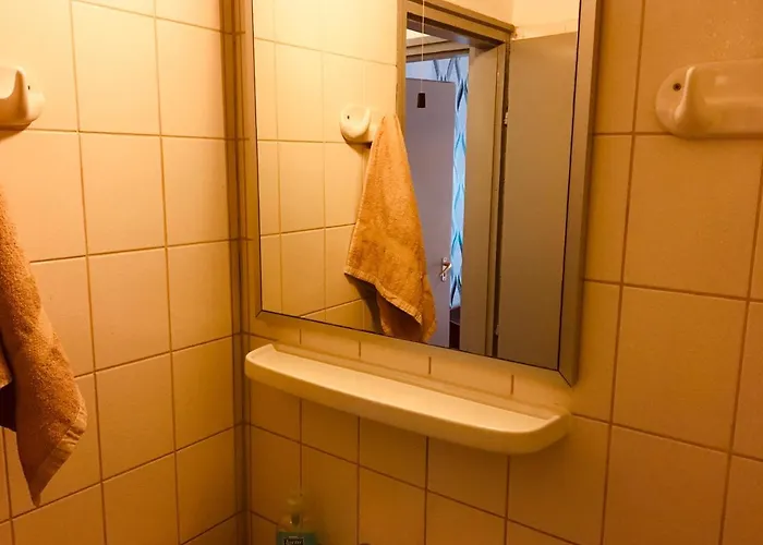 Stella Vendeghaz Debreczyn