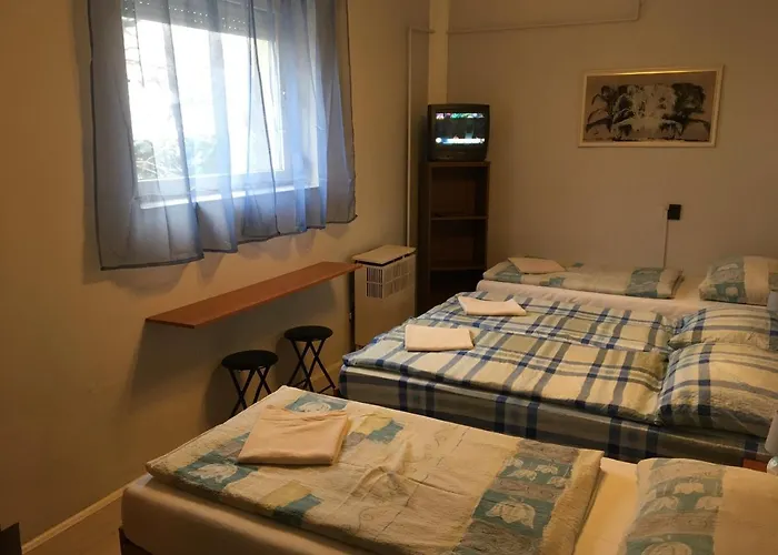 Stella Vendeghaz Debreczyn